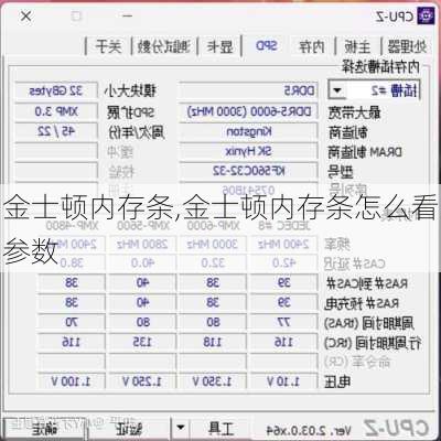 金士顿内存条,金士顿内存条怎么看参数