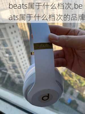 beats属于什么档次,beats属于什么档次的品牌